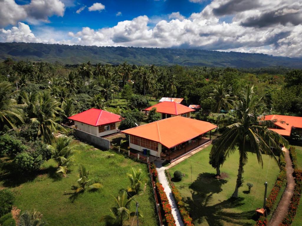 莫阿尔博阿Villa Alessandra Homestay的棕榈树度假村的空中景致