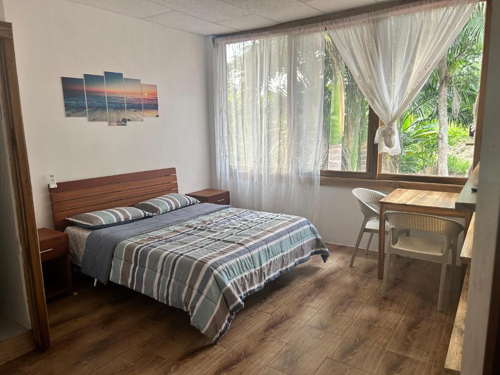阿亚姆佩ROOM COLIBRÍ - La Casa de Eros的一间卧室配有一张床、一张书桌和一个窗户。