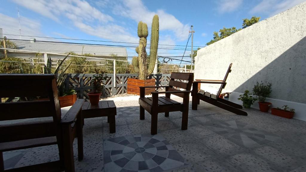 拉里奥哈El Cardón的天井配有两把椅子和仙人掌