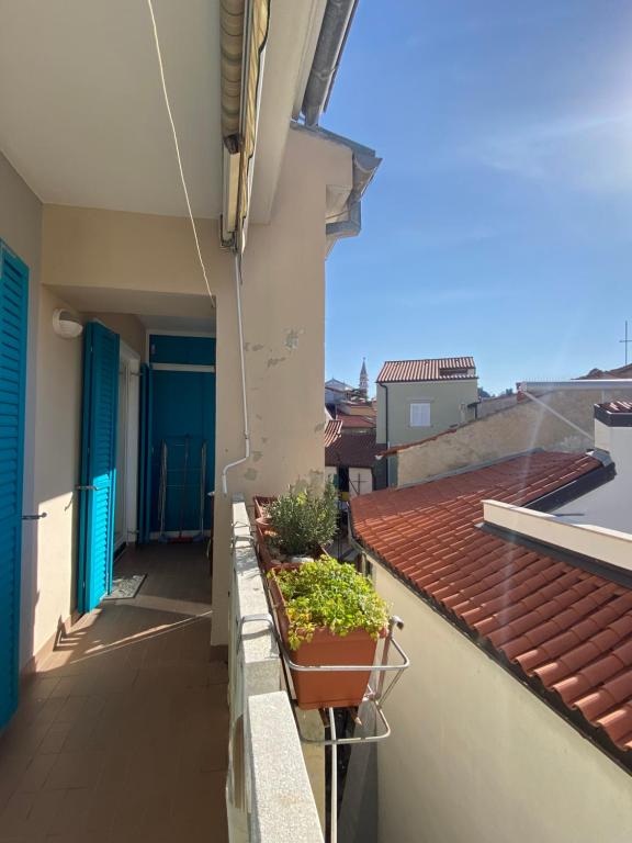 皮兰Lucy Apartment Piran-Punta的建筑里种植了盆栽植物的阳台