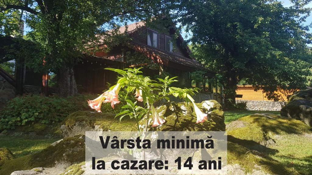 VistisoaraCasa Bunicului的植物屋前的标志