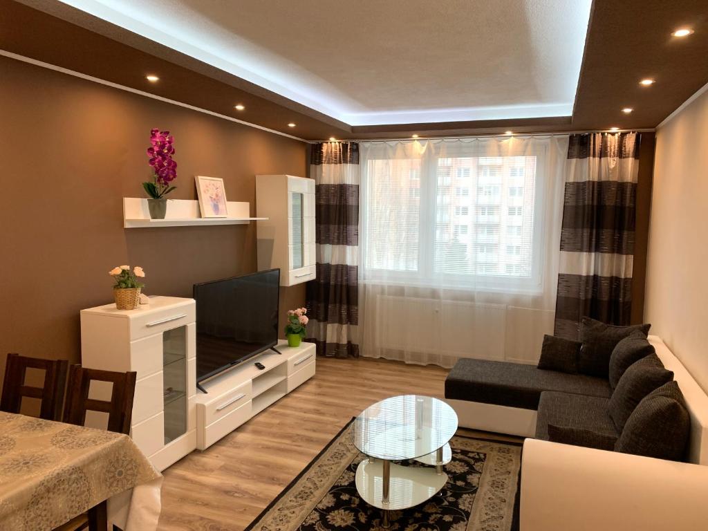 特尔纳瓦Apartment TT11的带沙发和电视的客厅