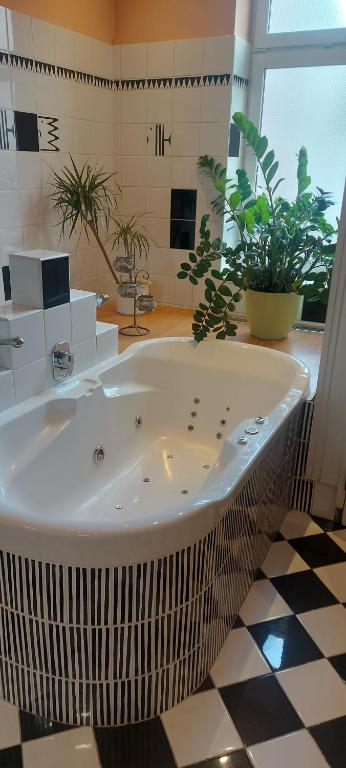 俄斯特拉发Apartment Belvedere的植物间里的一个大型白色浴缸