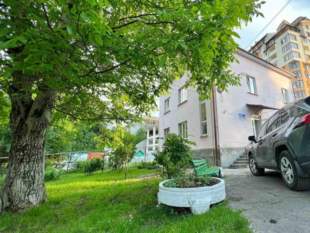 特鲁斯卡韦茨Готель-хостел的停在大楼旁边的一棵树和一辆汽车
