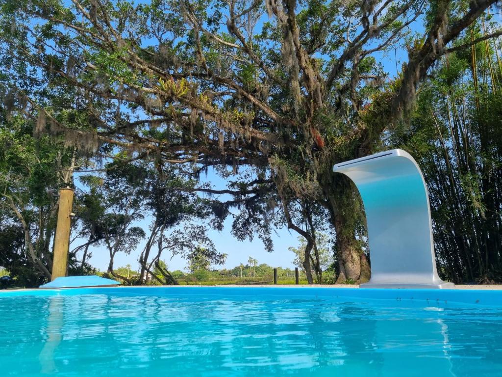 帕苏迪托雷斯Sítio com piscina Hidromassagem com acesso ao Rio Mampituba的一座有树的游泳池