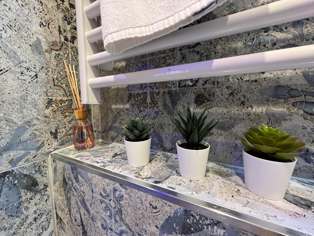 博洛尼亚La Suite Deluxe Rooms & Apartments的三个盆栽植物坐在玻璃架上