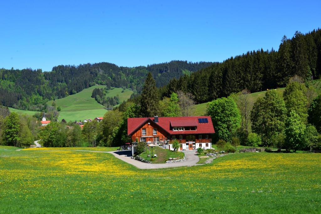 WeitnauFerienwohnung Böck, Wengen im Allgäu的绿色田野中带红色屋顶的房子