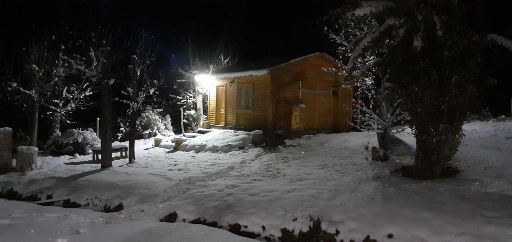 波特雷里约斯Cabañas El Fogón的夜间雪地的小小屋