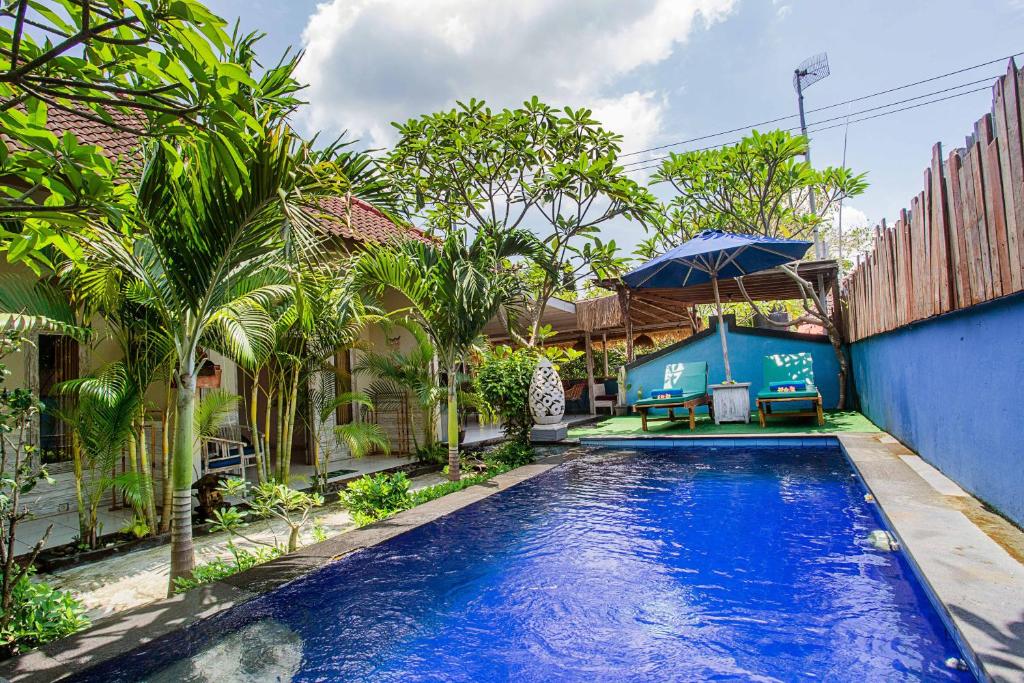 蓝梦岛自然旅馆的棕榈树庭院内的游泳池