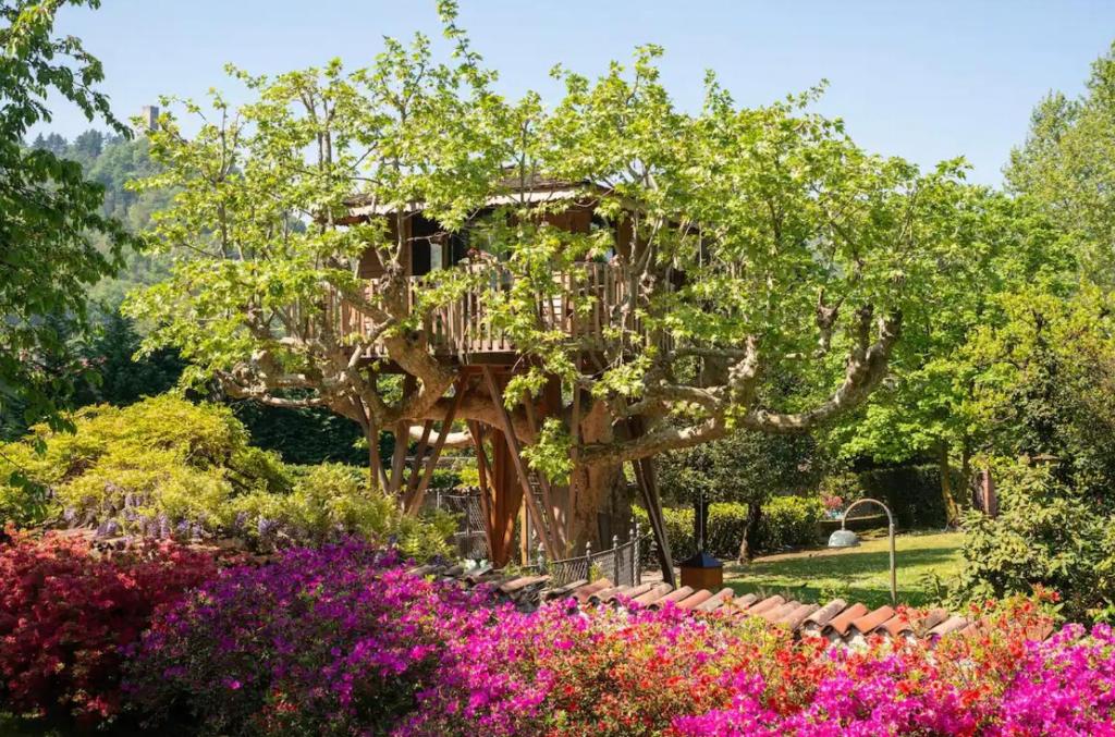 科莫Lake Como Dream Tree House的花卉园里的树屋