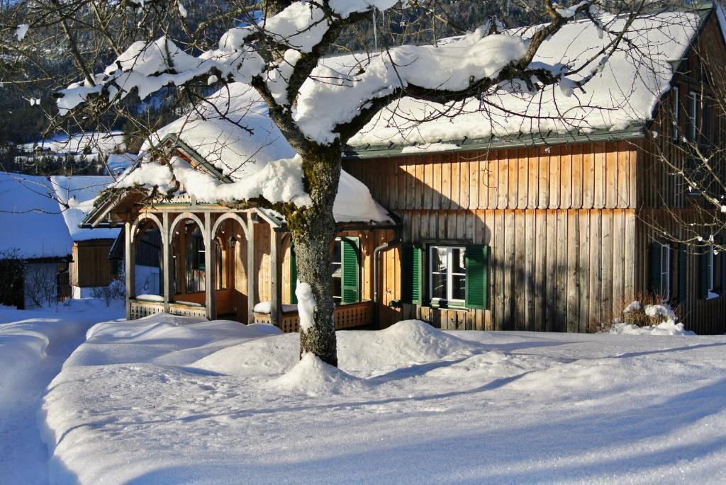 格伦德尔湖Ferienhaus Archkogl的雪中有一棵树的房子