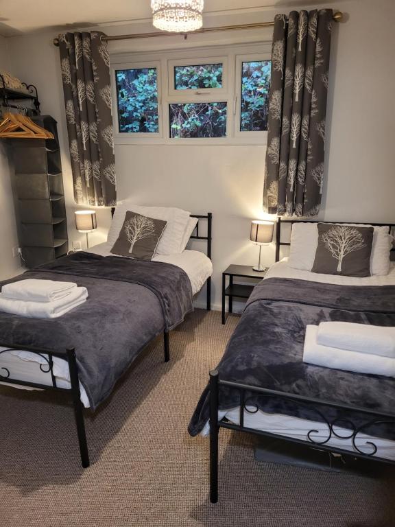 CorrisThe Granary Corris on the edge of the Dyfi Forest的一间卧室设有两张床和两个窗户。