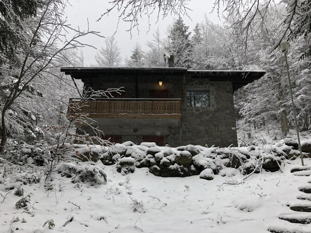 阿贝托内Baita Le Pozze的森林中雪地中的小屋