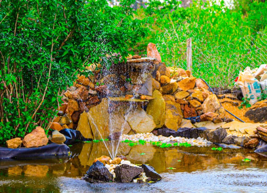 LibweziKambua Resort的池塘中央的喷泉