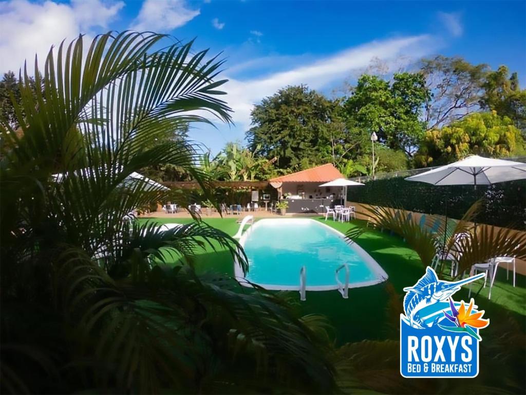 博卡奇卡Roxy's Bed & Breakfast的棕榈树度假村的游泳池