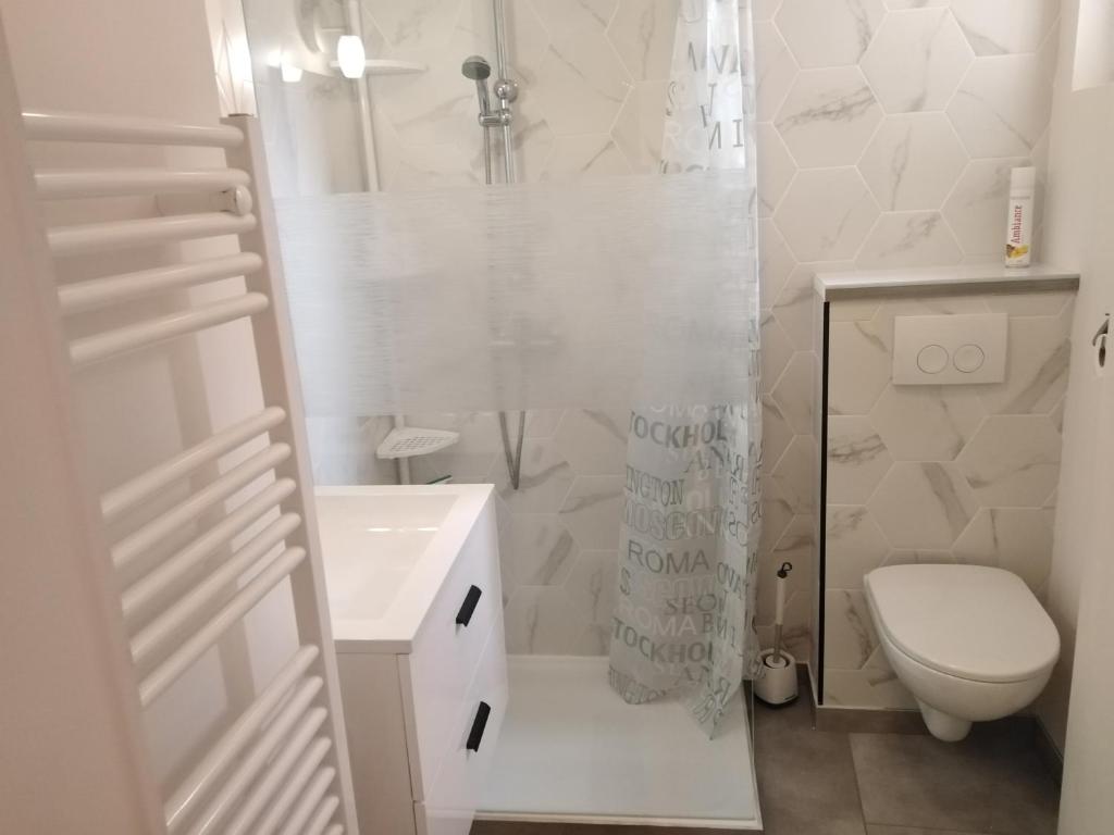 库谢韦尔尼La Maisonnette de Gallerie的白色的浴室设有卫生间和淋浴。