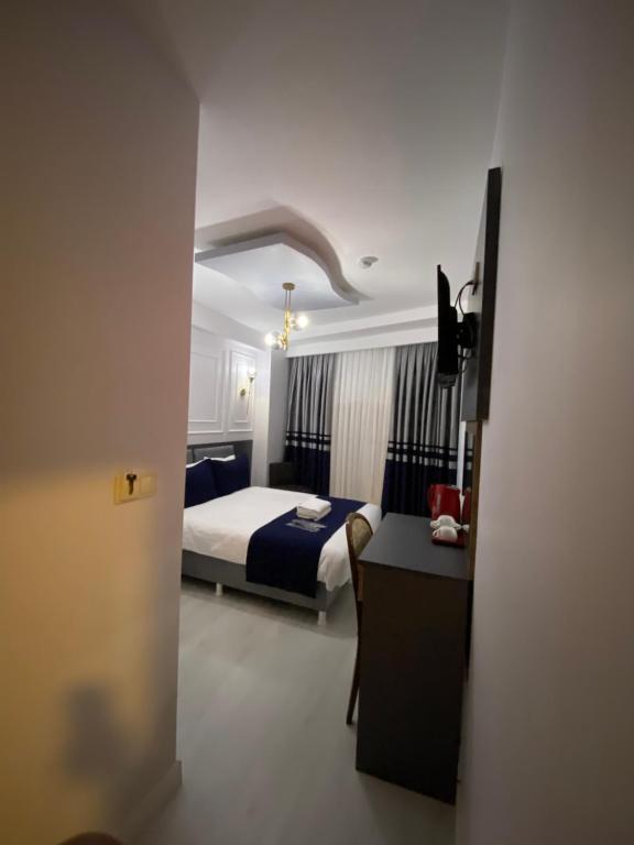 伊斯坦布尔Ramos Boutique Hotel Sultanahmet的酒店客房带一张床铺、一张书桌和一间卧室