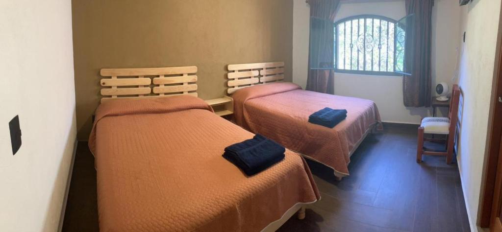 迪坡斯特兰Hostal Casa Flor de Limón的客房设有两张床和窗户。