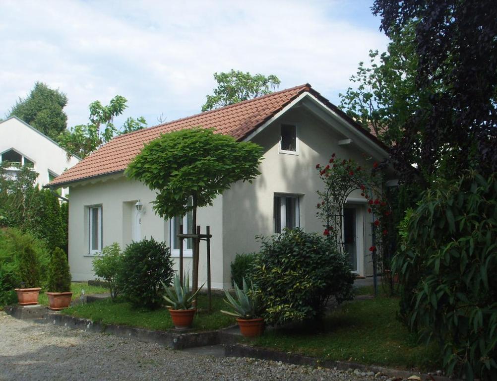 马克多夫Villa Maja的前面有植物的白色房子