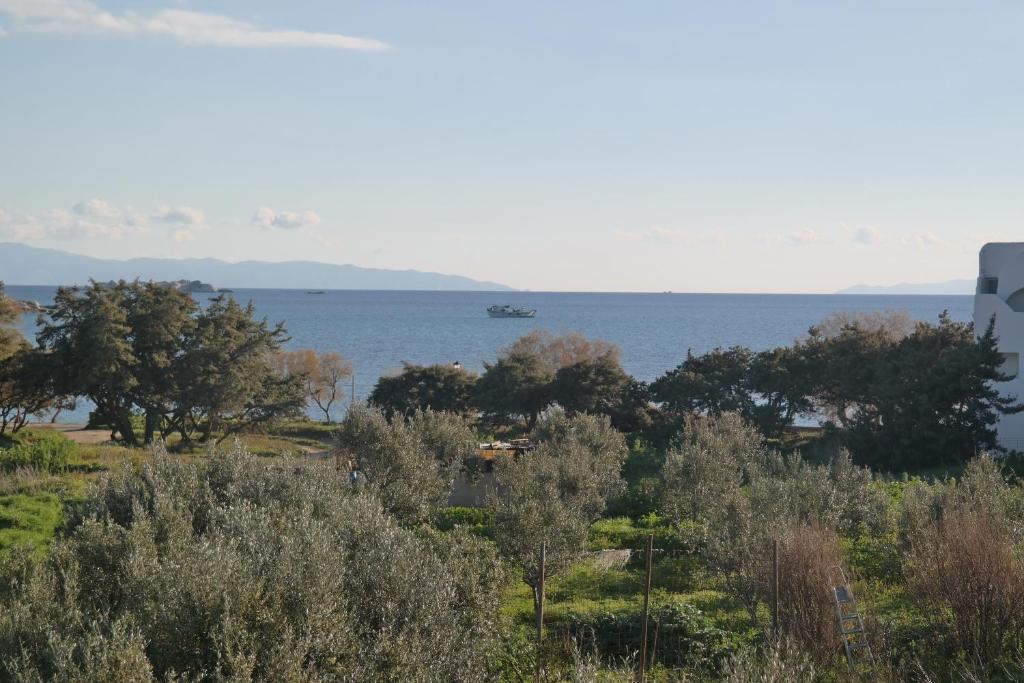 阿吉奥斯普罗科皮奥斯Mina's Studios in Naxos Island的水中长满了树木和海洋的船只