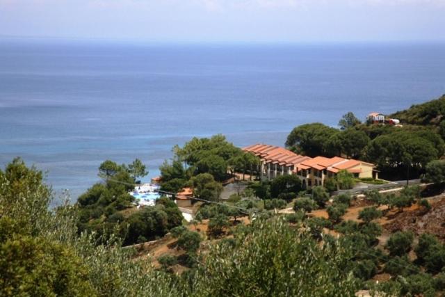 瓦西里科斯西莉亚公寓酒店的海边小山上的房子