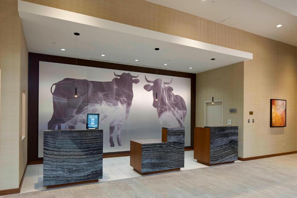 达拉姆达勒姆市中心万豪酒店的一间设有一扇长墙的房间,墙上挂着牛的照片