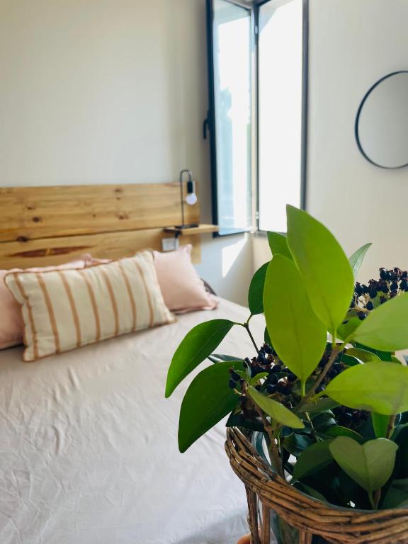 门多萨Casa Champagnat的一间卧室配有一张床和盆栽植物