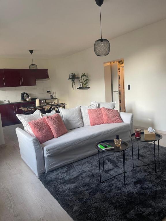 列日Le cocon de la belle liégeoise的客厅配有白色沙发及粉红色枕头