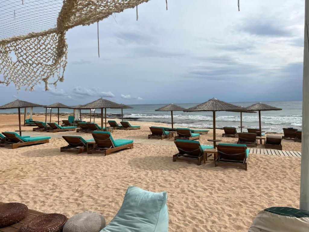 阿依纳帕Leo Boutique Beachfront的海滩上设有椅子和遮阳伞,还有大海