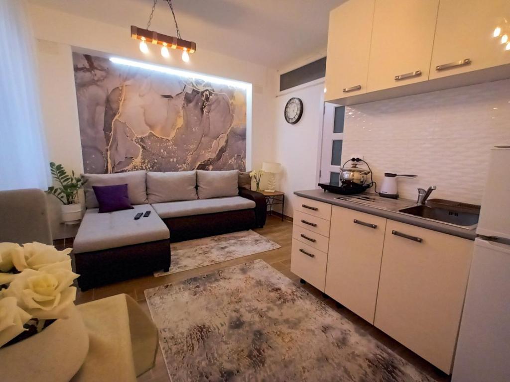 贝尔格莱德ODMORKO Zemun的带沙发的客厅和厨房