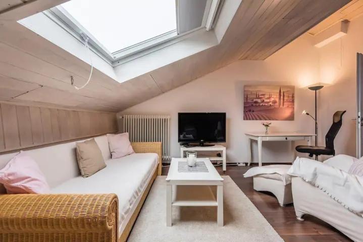 科尔贝尔莫尔Modernes Apartment zum Wohlfühlen的客厅配有白色沙发和天窗。