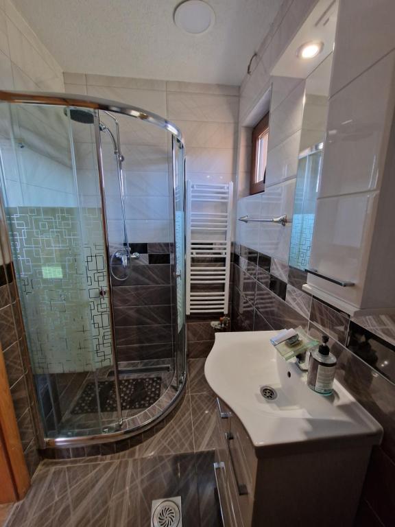 维尔蒂尼克Dani apartment的带淋浴和盥洗盆的浴室