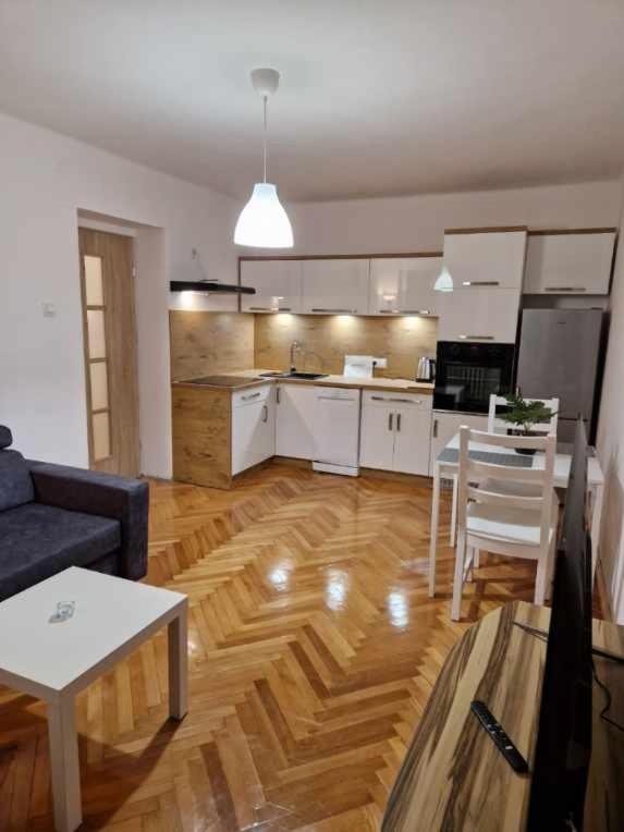 普鲁德尼克Apartament w Centrum的厨房以及带沙发和桌子的客厅。