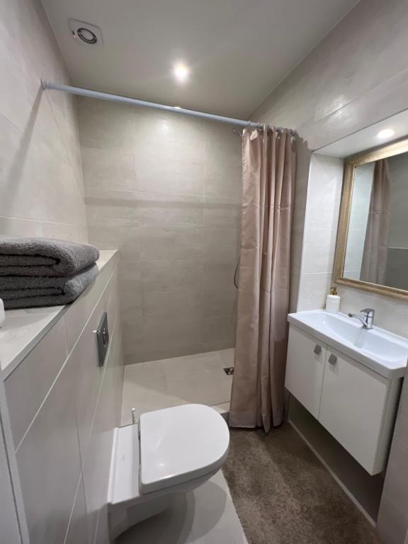 克莱佩达Vėtrungės Apartamentai的白色的浴室设有卫生间和水槽。