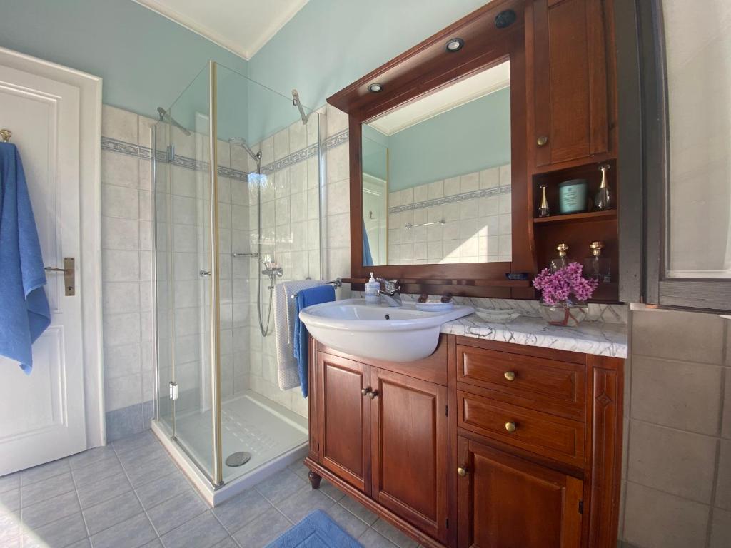 伦诺magnolia的一间带水槽和淋浴的浴室