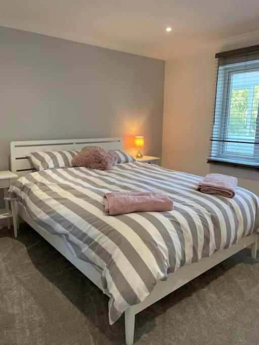 雷德鲁斯Sunny Corner - lovely 2 bedroom appt的一间卧室配有一张大床和两个枕头