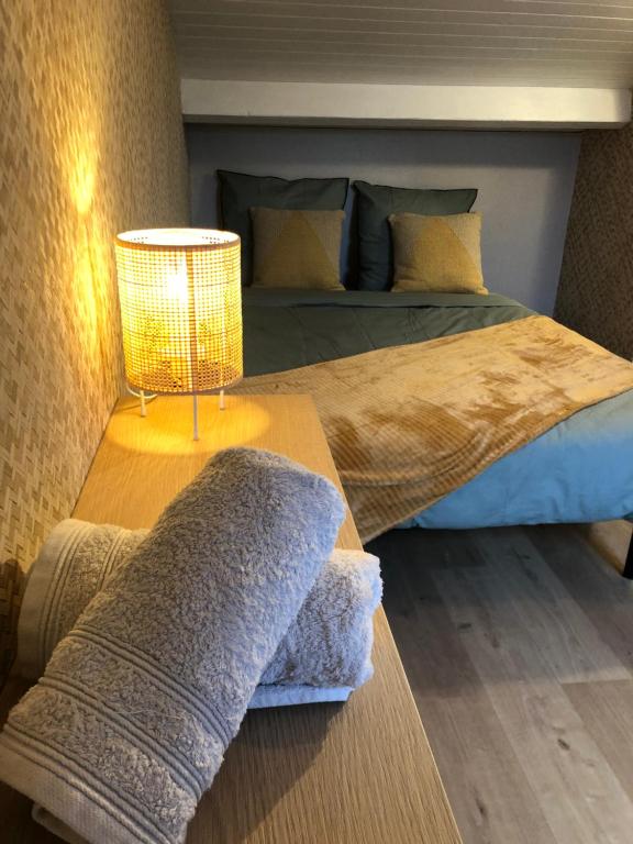 瓦讷Gîte Loufiosa Vannes的一间卧室配有一张床和一张带台灯的桌子