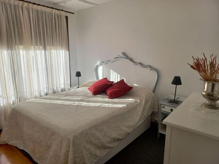 特连特Casa rural La Endrina的一间卧室配有一张带红色枕头的床