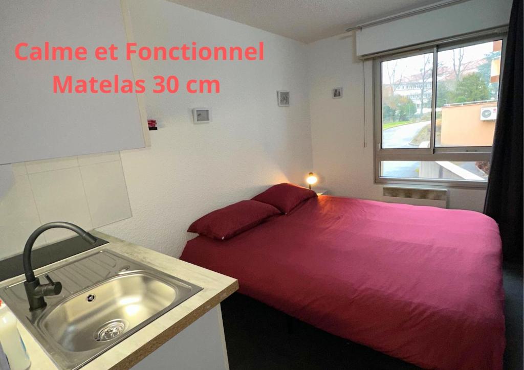 帕雷·勒·毛尼尔Les Logis de Paray Appartement n1的卧室配有红色的床和水槽