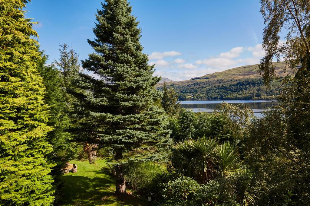 MorenishLOCH TAY HIGHLAND LODGES and GLAMPING PARK的享有树林和湖泊的景色