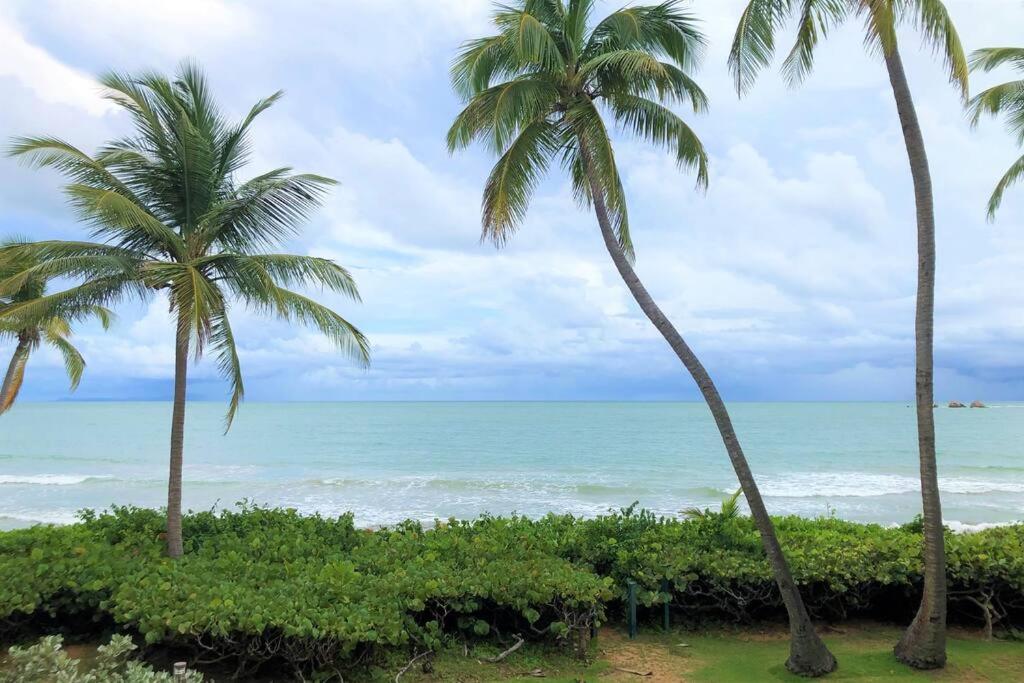 乌马考Beachfront Getaway for two!的两棵棕榈树,在海滩上