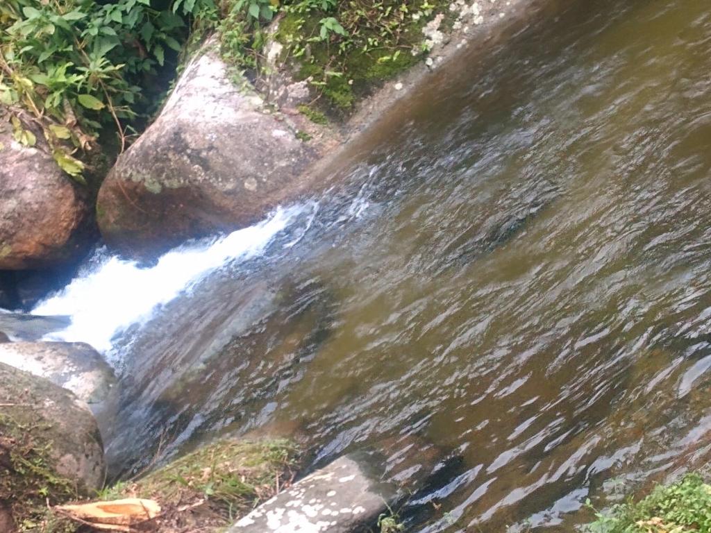 山林小屋周边自然景观