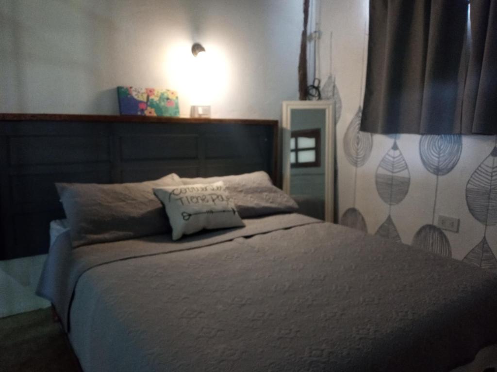 科连特斯ESPACIO MINGA, casa quinta en la ciudad, hasta 8 personas的一间卧室配有一张带枕头的床