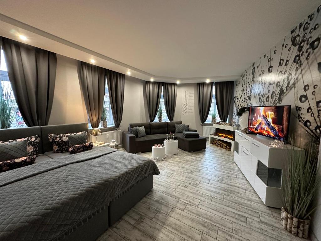 爱尔福特Ferienwohnungen in Erfurt的一间卧室配有一张床和一台平面电视