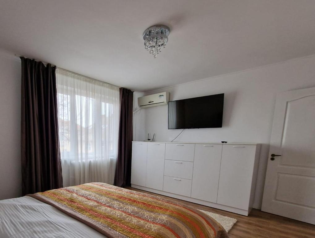 蒂米什瓦拉PREFECTURE APARTMENTS的一间卧室配有一张床和一台平面电视