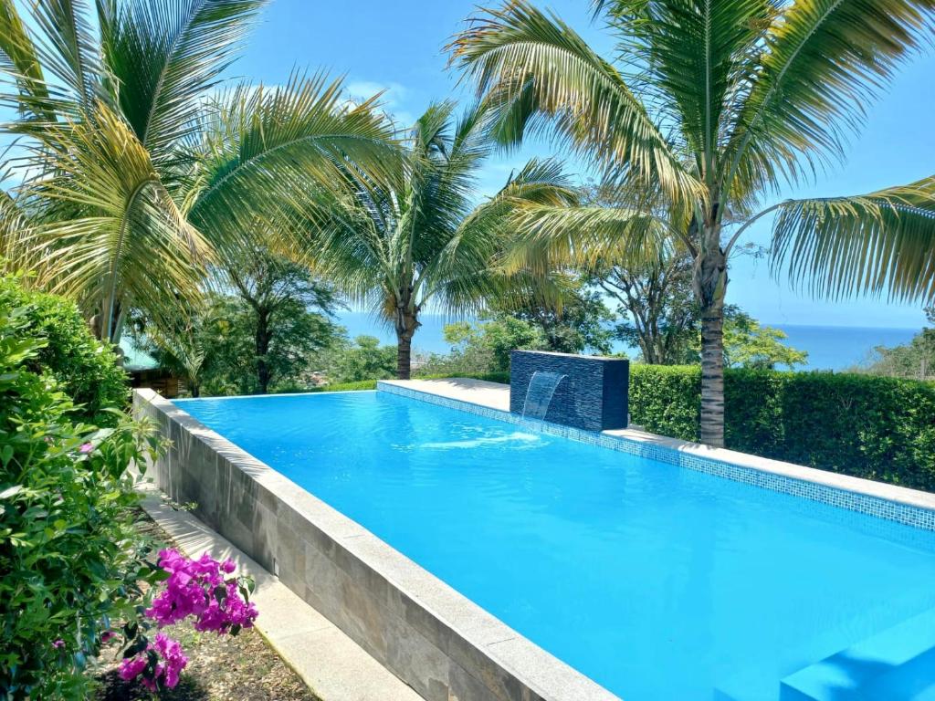 Don JuanL'Oasis Don Juan的度假村内棕榈树游泳池
