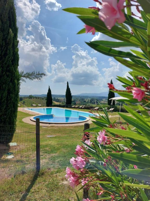 StabbiaAgriturismo Corte in Poggio的花园里的游泳池,花粉色