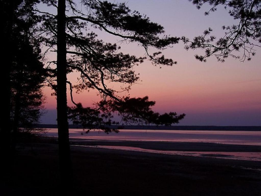 沃索Hiirevända Holiday House的海滩上方的日落美景,海滩上树木林立,