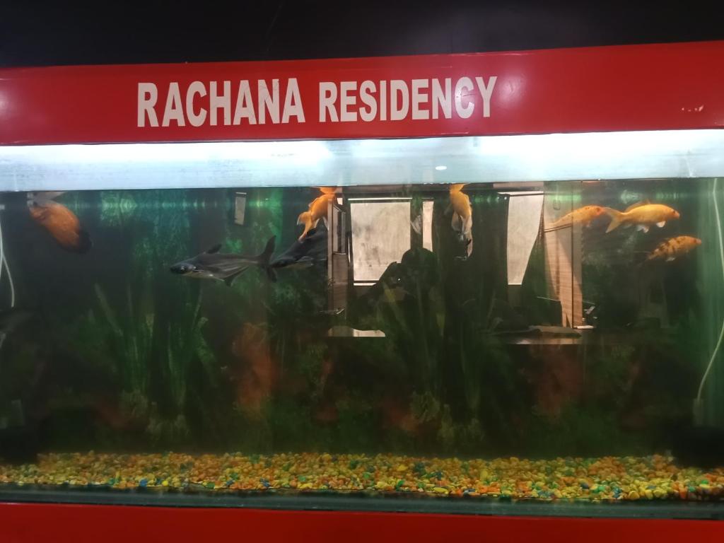 浦那Hotel Rachana Residency的水族箱,里面有鱼