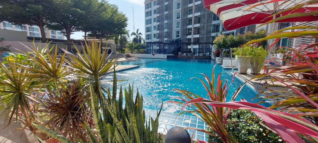 华欣Tira Tiraa Condominium的植物群中的一座大型游泳池